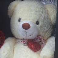 Bears and Animals