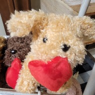 Valentine Plush Dogs and Bears