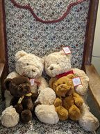 Stuffed Animal