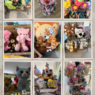 Stuffed Animal -Designer’s Choice
