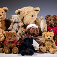 Stuffed Animal