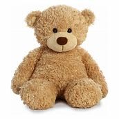 Stuffed Bear