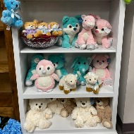 Plush Animals