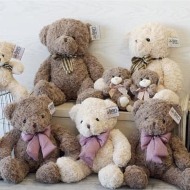 Baxter Bears
