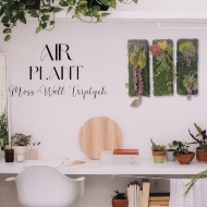 Flower lessons