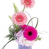 Darling daughter arrangement