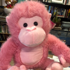 Stuffed Monkey