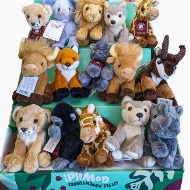 Stuffed Animal