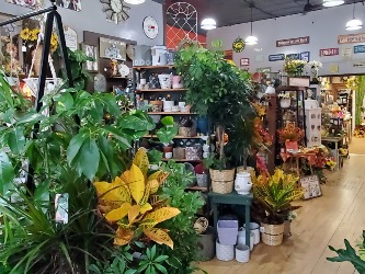 Inside the shop 