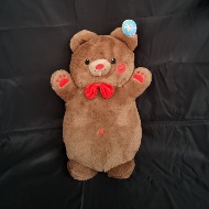 Teddy Bear in Plastic Gift Box