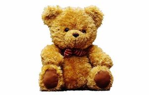 Stuffed Animal