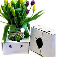 Take Home Box