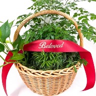 Ribbon Banner For Arrangement or Plant.