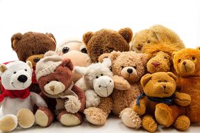 Stuffed Animal