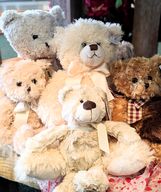 Stuffed Animal
