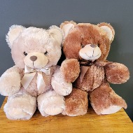 Teddy bear