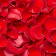 Rose Petals