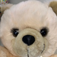 Lash Bear