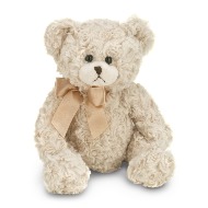 Huggles the Teddy Bear