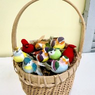Birds
