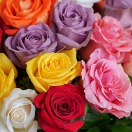 Additional Roses
