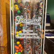 Giambris Gourmet Belgian Chocolate Covered Pretzel