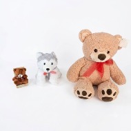 Stuffed Animal