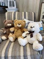 14 inch Sitting Bear