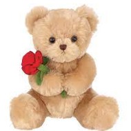 Plush Animals (Various) Can give suggestions!