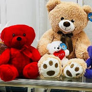 Stuffed Animal