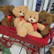 Teddy Bear Fun