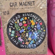 Car and refrigerater Magnet