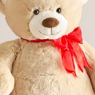 Stuffed Animal