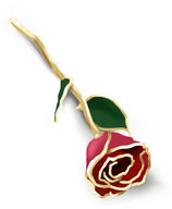 Add A Gold Tipped Rose