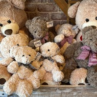 Teddy Bears