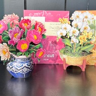 FreshCutPaper Pop-Up Greeting Card