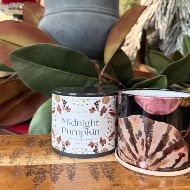 Illume Midnight Pumpkin Demi Tin Candle