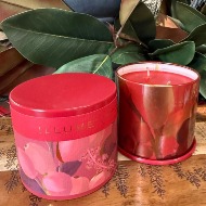 Illume Cranberry Currant Demi Tin Candle