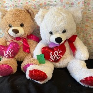 Plush Bears