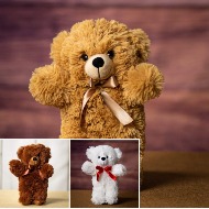 12 Hug Bear Bunch Beige and Pink
