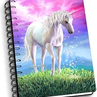 3D notebook