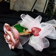 24kt Gold Rose/Starlite Rose