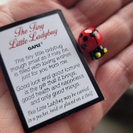 Tiny Ladybug