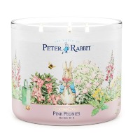 Peter Rabbit