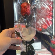 Choclolate Single Rose