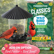 Hanging Bird Feeder Set