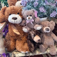 Plush Bears