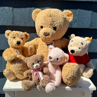 Teddy Bears