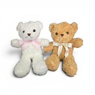 Small Standard Teddy