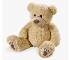 Plush! Soft & Cuddly